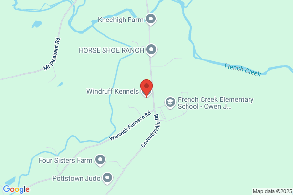 Windruff Kennels
