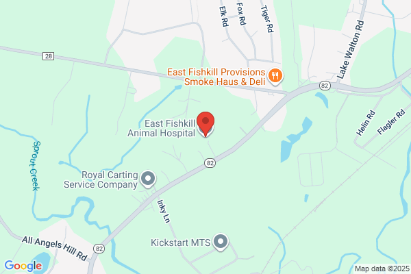East Fishkill Animal Hospital