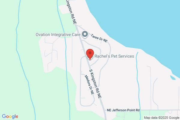 Karen's Pet Service