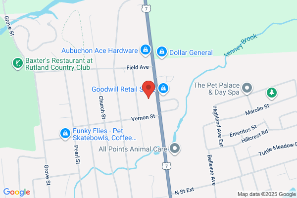 Feed-N-Seed Pet Food Outlet