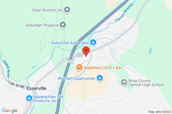 Advance Auto Parts