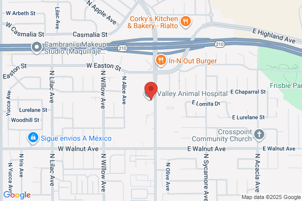 Valley Animal Hospital