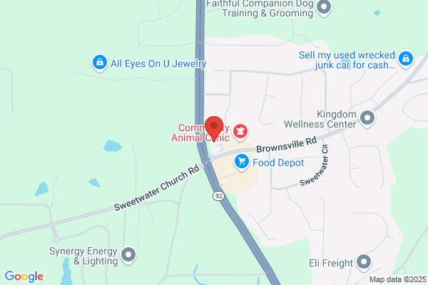 Advance Auto Parts