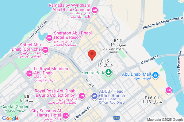 Professional Security Systems