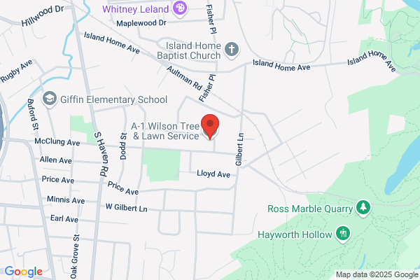 A-1 Wilson Tree & Lawn Service