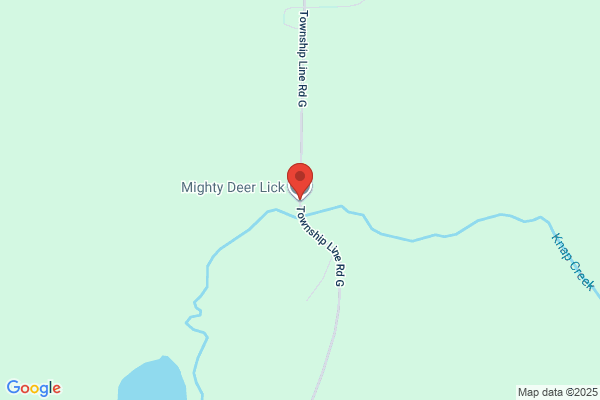 Mighty Deer Lick Co