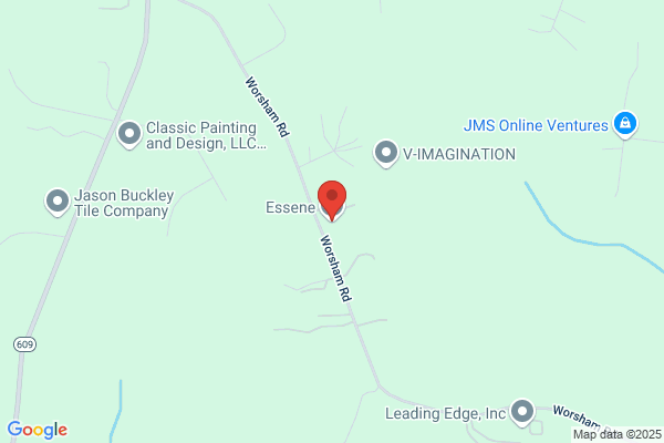 Essene Inc