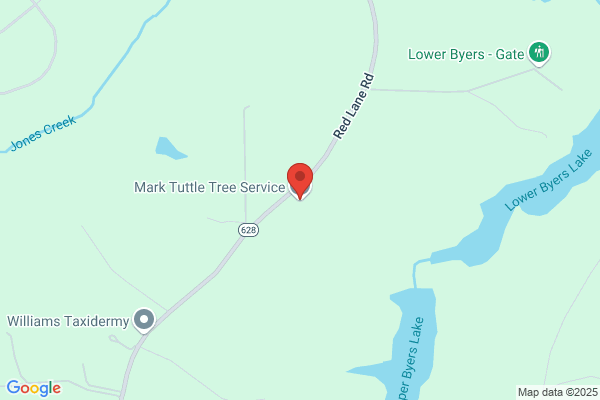 Mark Tuttle Tree Service