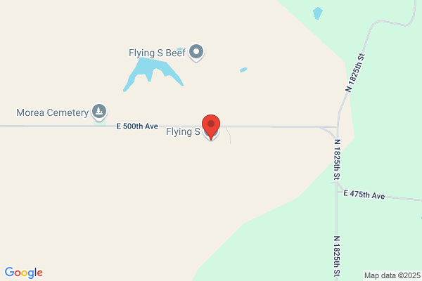 Flying S Feed Company
