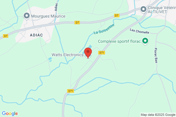 Watts Electronics