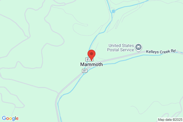 Mammoth Coal Co