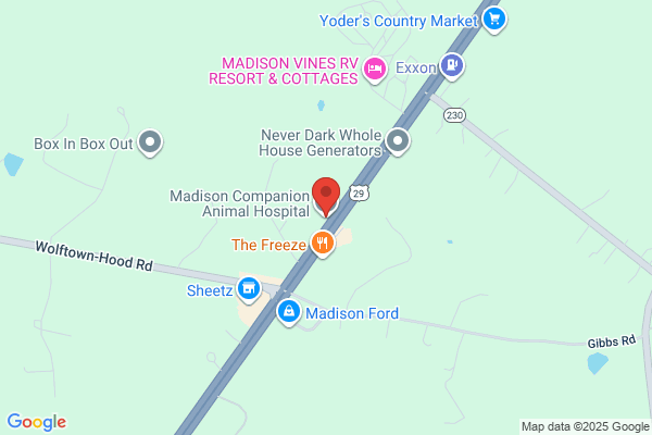 Comyn Patrick DVM