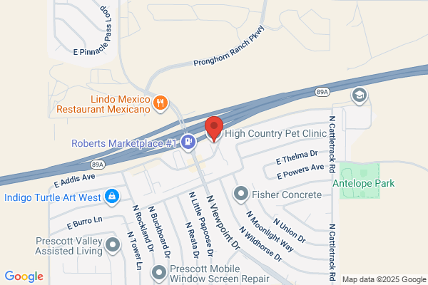 Tebbe, Donald V DVM - High Country Pet Clinic