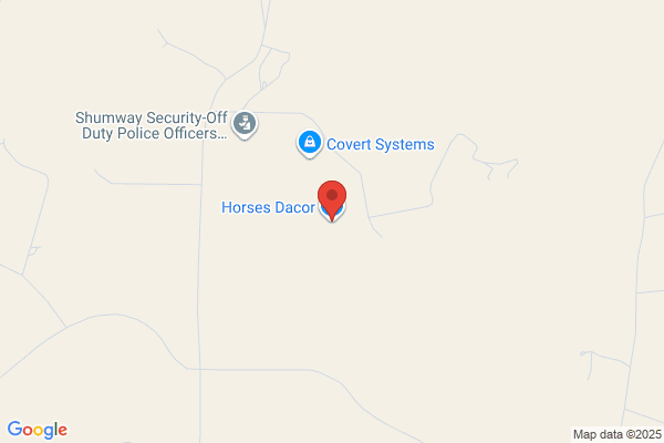 Horses Dacor