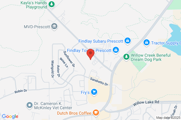 Owls Auto Body Inc
