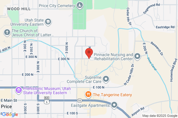 Terry Dale L Dentist