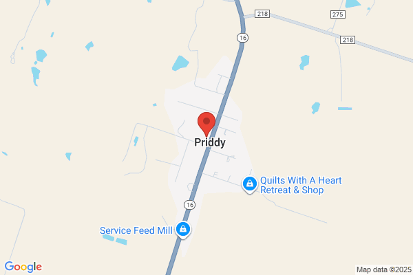 Priddy School
