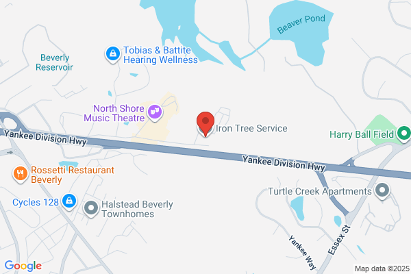 Iron Tree Service