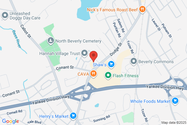 Levesque Ann Physical Therapy