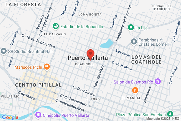 El Puerto De Vallarta