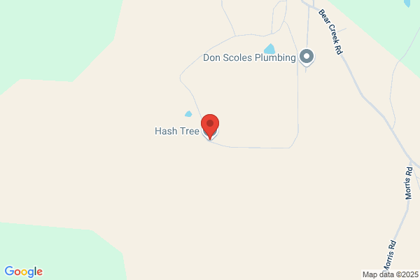 A Hash Tree Co