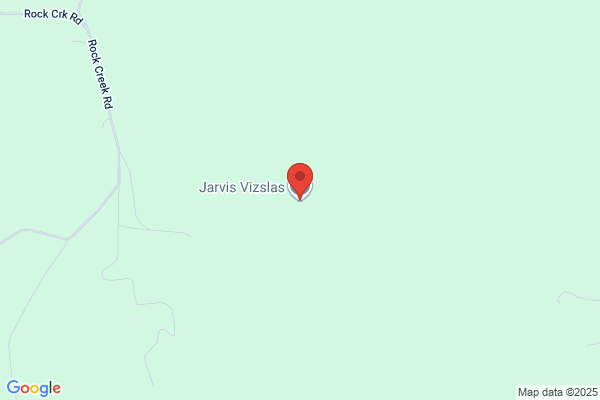Steve Jarvis Vizslas