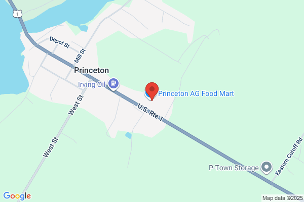 Princeton Variety & Crafts