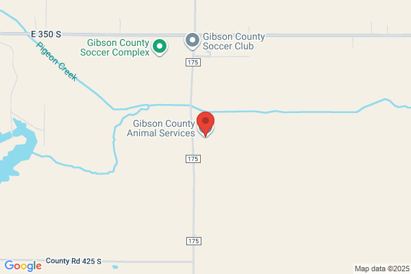 Gibson County Animal Service