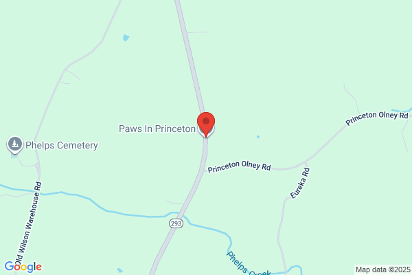 Paws In Princeton