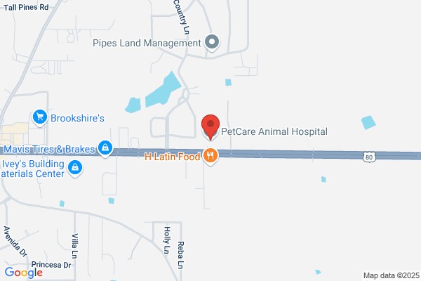 Petcare Animal Hospital