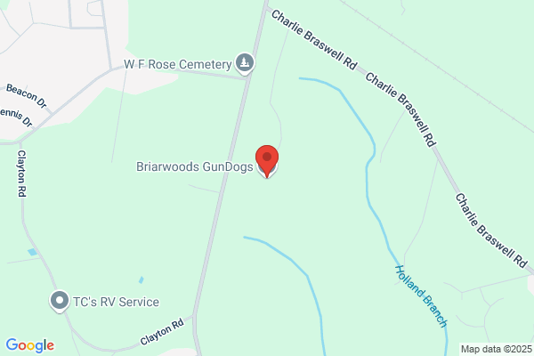 Briarwoods GunDogs