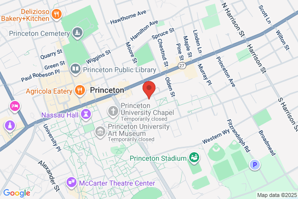 Princeton Training Press