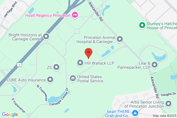 Princeton Internet Group Inc