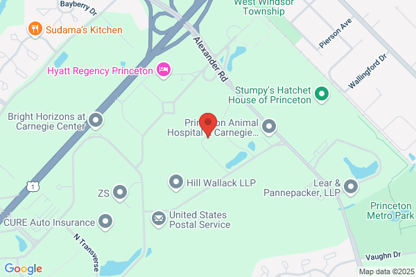 Berlitz International Inc, Berlitz Language Center