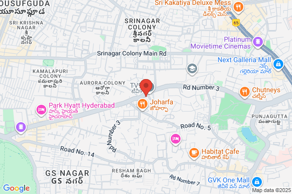 Dr Reddy's Laboratories Inc