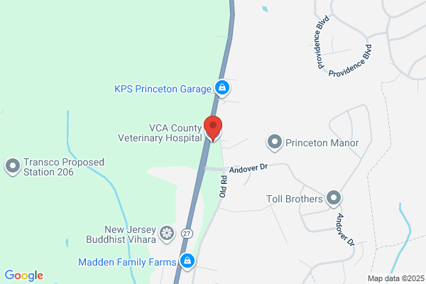 VCA County Veterinary Hospital