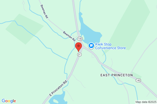 Princeton GE Tree Service