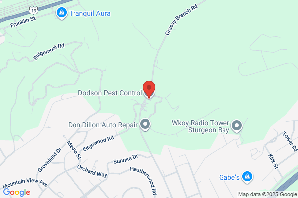 Dodson