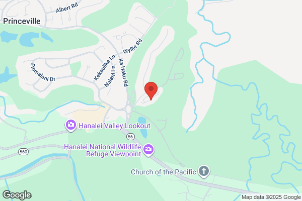 Hanalei Design Build Consultants