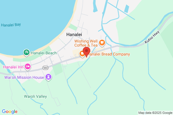 Hanalei Surf Company