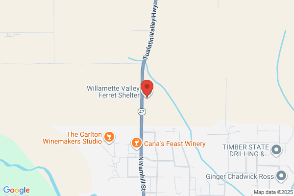 Oregon Ferret Shelter