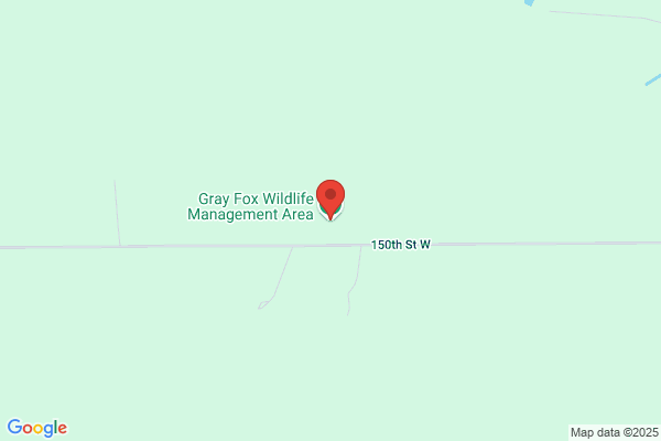 Gray Fox Information Center