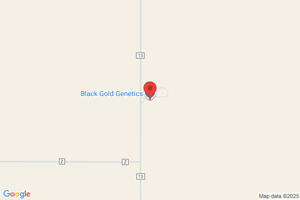Black Gold Feed & Supplies