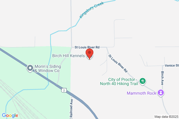 Birch Hill Kennels