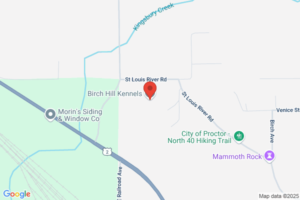 Birch Hill Kennels