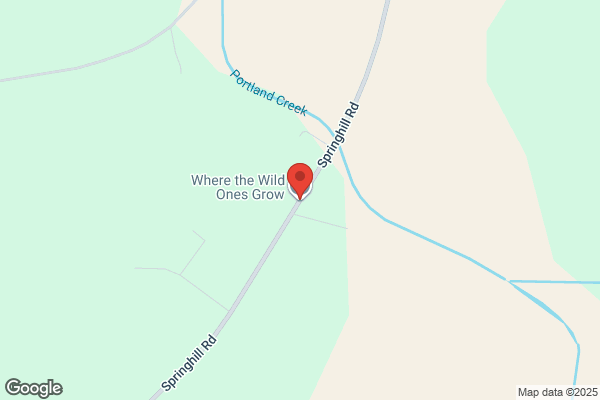 Where the Wild Ones Grow Preschool