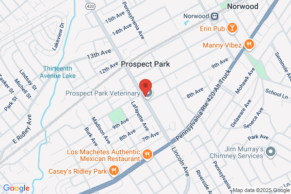 Prospect Park Family Dentistry