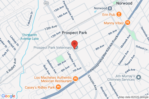 Prospect Park Cleaners