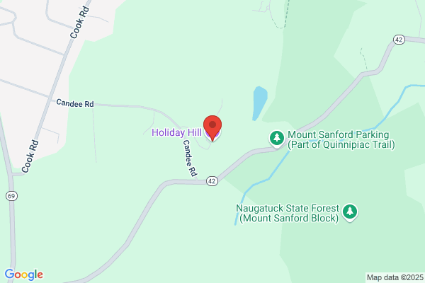Holiday Hill