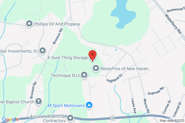 Prospect Self Storage Llc